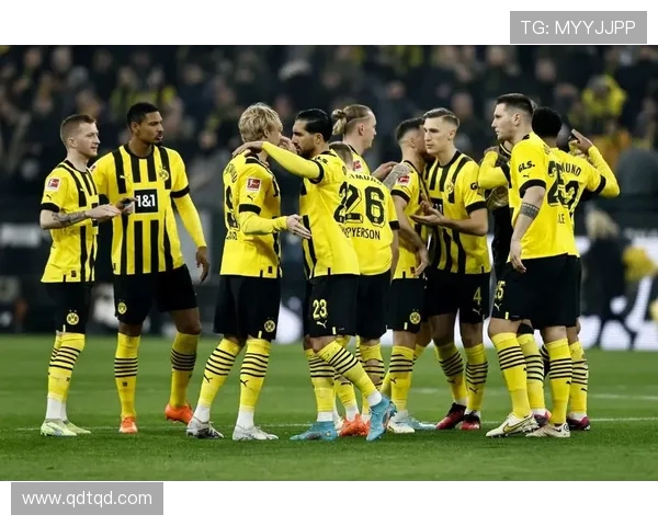 多特蒙德足球俱乐部的辉煌历史与未来发展前景分析
