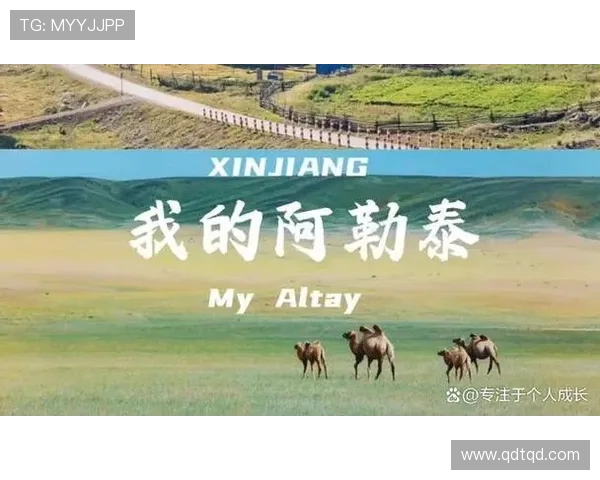 飞盘与梦想交织的旅程：杨静的深度对话与人生启示